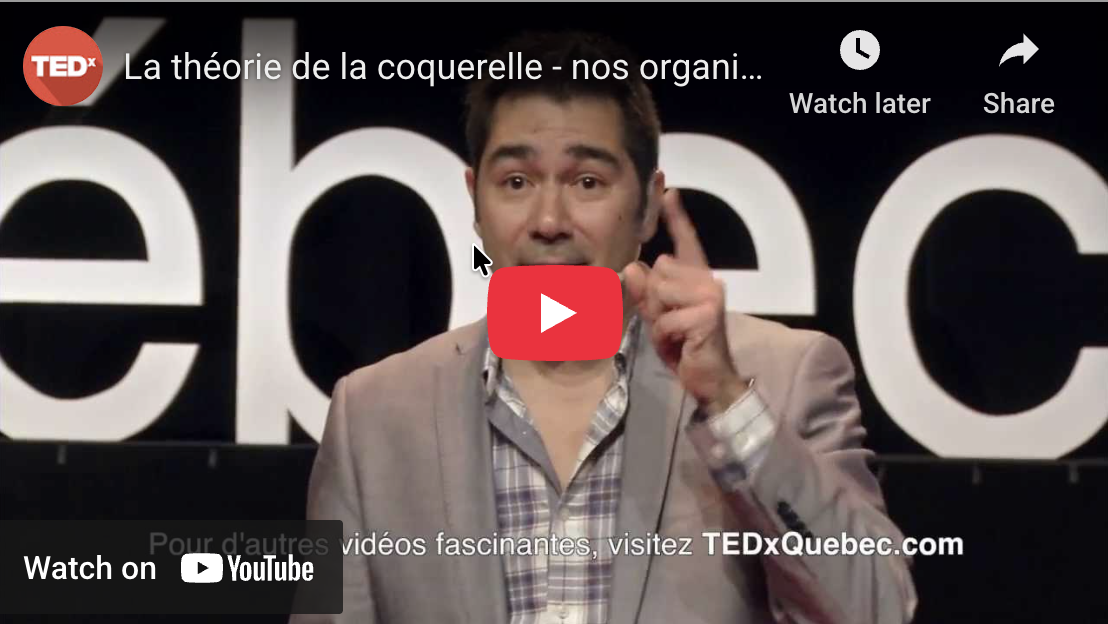 Jean-Sébastien_Roy_Thumbnail